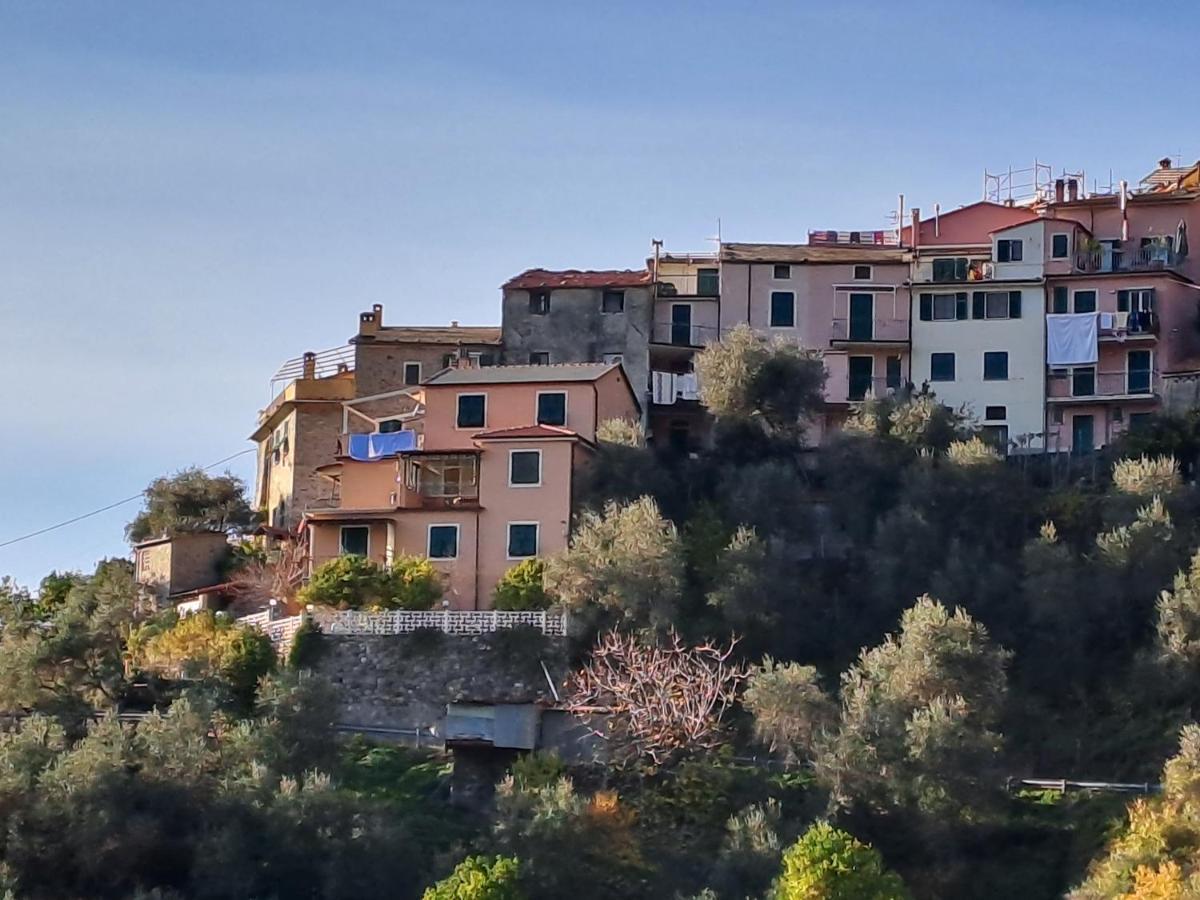 Villa Casa Di Gian Levanto Exterior foto